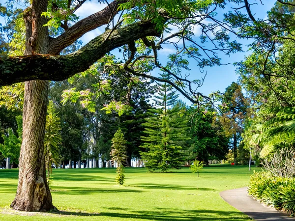 Kings Park Botanical Garden 400 Hectare Park Overlooking Perth Water — Stock Photo, Image