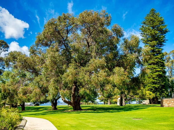 Kings Park Botanical Garden Ist Ein 400 Hektar Großer Park — Stockfoto