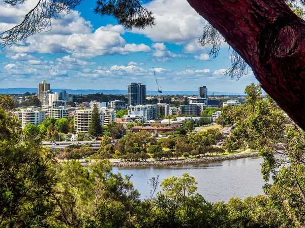 View Swan River South Perth Kings Park — Stock Photo, Image