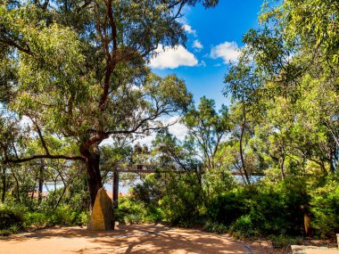 Kings Park ve Botanik Bahçesi Perth Water 'a ve Batı Avustralya' nın Perth kentinin merkez ticaret bölgesine tepeden bakan 400.6 hektarlık bir parktır..