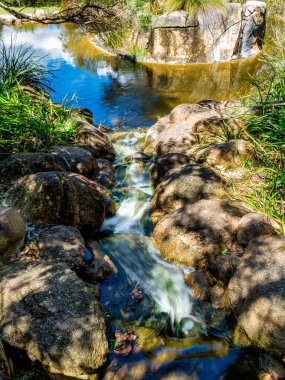 Kings Park ve Botanik Bahçesi Perth Water 'a ve Batı Avustralya' nın Perth kentinin merkez ticaret bölgesine tepeden bakan 400.6 hektarlık bir parktır..