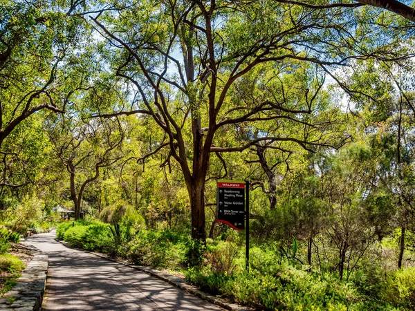 Kings Park Botanical Garden Ist Ein 400 Hektar Großer Park — Stockfoto