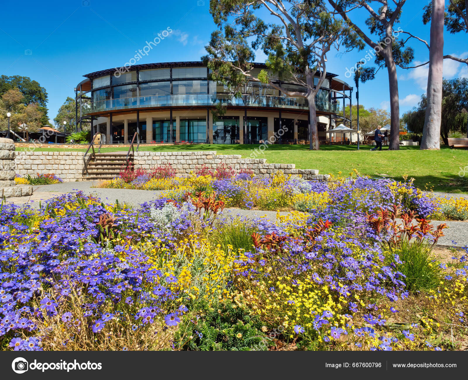 Perth Australia 2021 Botanic Flowers Kings Park Fraser's Restaurant  Background – Stock Editorial Photo © RicJacyno #667600796