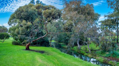 Cruickshank Park, Stony Creek boyunca sessiz mekanları ve birçok yerel caddeye bağlantıları olan kalabalık bir lineer parktır..