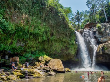 Kemenuh, Sukawati, Gianyar Regency, Bali Endonezya - 10262023 Tegenungan şelalesi sığ bir banyonun üzerindeki yemyeşil bir ormanda, kafelerin yakınında..