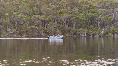 Walpole, WA - Avustralya - 03-12-2025 Nornalup Inlet, Avustralya 'nın güney batı kıyısında bulunan bir su kütlesi.