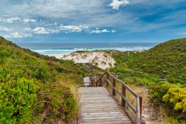 Walpole, doğayı ve patikaları seviyorsan tatil için harika bir yerdir..
