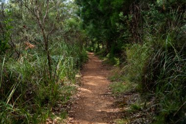 Walpole, doğayı ve patikaları seviyorsan tatil için harika bir yerdir..