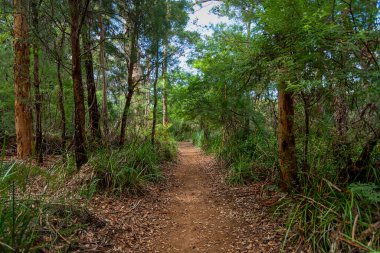 Walpole, doğayı ve patikaları seviyorsan tatil için harika bir yerdir..
