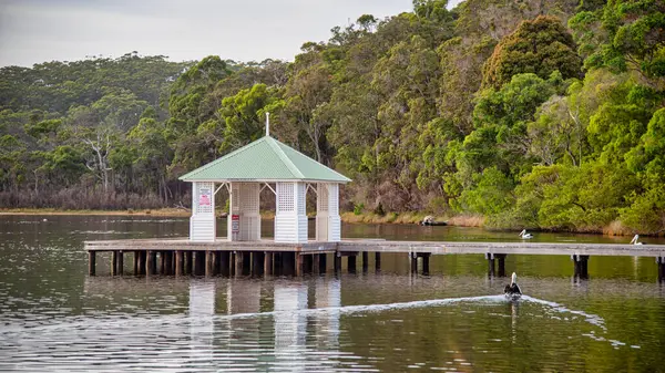 Walpole, WA - Avustralya - 03-12-2025 Nornalup Inlet, Avustralya 'nın güney batı kıyısında bulunan bir su kütlesi.