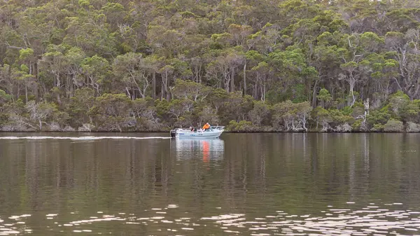 Walpole, WA - Avustralya - 03-12-2025 Nornalup Inlet, Avustralya 'nın güney batı kıyısında bulunan bir su kütlesi.