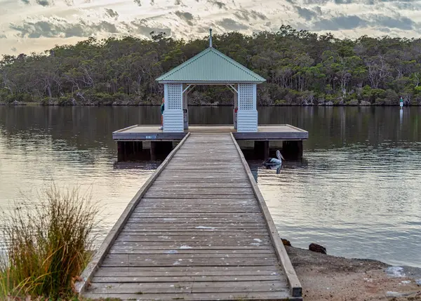 Walpole, WA - Avustralya - 03-12-2025 Nornalup Inlet, Avustralya 'nın güney batı kıyısında bulunan bir su kütlesi.