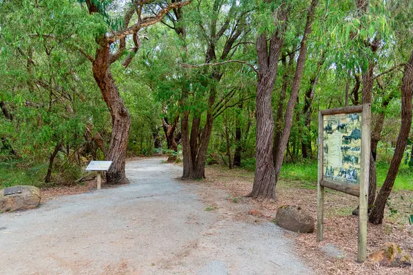 Walpole, WA - Avustralya - 03-12-2025 Walpole doğayı ve patikaları seviyorsanız tatilin tadını çıkarmak için harika bir yerdir..