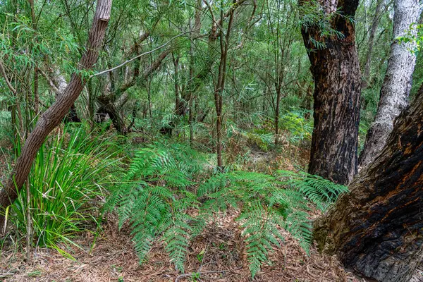 Walpole, doğayı ve patikaları seviyorsan tatil için harika bir yerdir..