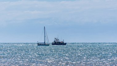 Green Island, Queensland - Avustralya - 05-25-2025 Green Island 'ın sizi adanın etrafında dolaşmaktan, kuşları ve vahşi yaşamı veya şnorkelle yüzmeyi ve dalmayı görmek için bir dizi aktivitesi var..