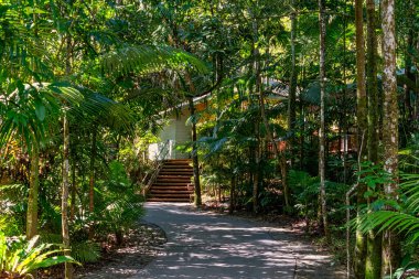 Barron Gorge, Queensland - Avustralya - 05-24-2025 Skyrail Yağmur Ormanı Cableway, Queensland Islak Tropics 'teki Barron Vadisi Ulusal Parkı üzerinde uzanan 7.5 kilometrelik manzaralı bir turistik kablo..