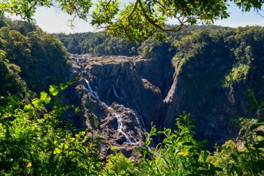 Kuranda yağmur ormanları köyü yakınlarındaki Barron Gorge Ulusal Parkı 'nda yer alan bu devasa şelale 250 metre boyunca kayalık çıkıntılardan aşağı akıyor..
