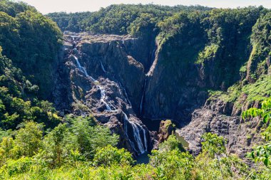 Kuranda yağmur ormanları köyü yakınlarındaki Barron Gorge Ulusal Parkı 'nda yer alan bu devasa şelale 250 metre boyunca kayalık çıkıntılardan aşağı akıyor..