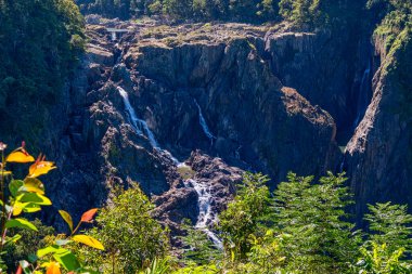 Kuranda yağmur ormanları köyü yakınlarındaki Barron Gorge Ulusal Parkı 'nda yer alan bu devasa şelale 250 metre boyunca kayalık çıkıntılardan aşağı akıyor..