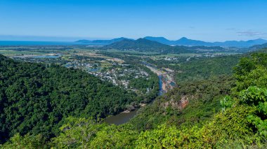 Dünya mirası listesindeki yağmur ormanları zamanın başlangıcından beri sayısız bitki ve hayvan türünü beslemiştir..
