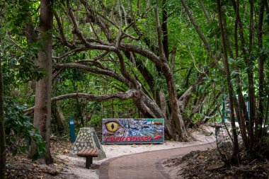 Green Island, Queensland - Avustralya - 05-25-2025 Green Island 'ın sizi adanın etrafında dolaşmaktan, kuşları ve vahşi yaşamı veya şnorkelle yüzmeyi ve dalmayı görmek için bir dizi aktivitesi var..