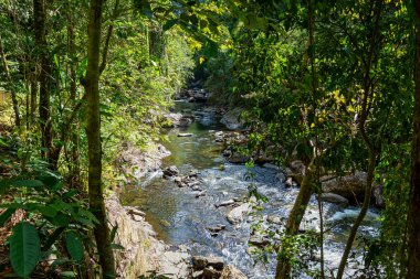 Kristal çağlayanlar bir tatlı su deresidir. Bölgede çok sayıda çağlayan şelale ve yağmur ormanlarında yüzme çukurları yer alıyor..