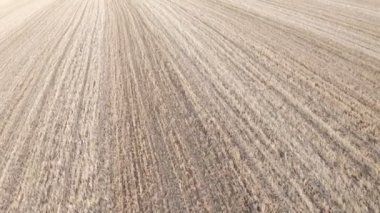 Aerial drone footage of a dry and yellow field.