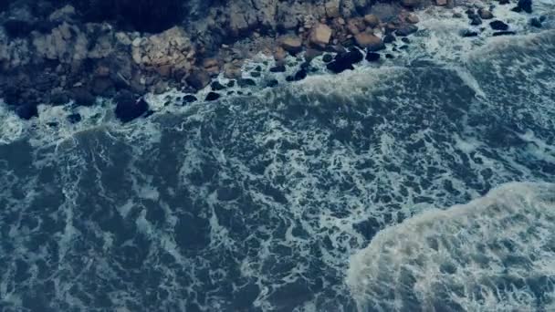 Aerial Drone Shot Seagulls Hovering Surf High Winds Storms — Stock Video