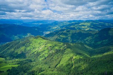 Yeşil orman dağlarındaki evlerin insansız hava aracı görüntüsü.