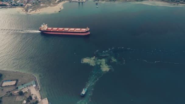 화물선 만으로 들어오는 이보입니다 항구에 정박하고 화물선 — 비디오