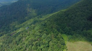 Dağ ormanındaki bir kulübenin hava aracı görüntüsü.