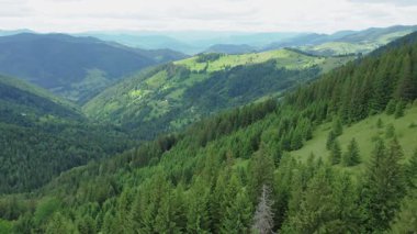 Sıcak bir yaz gününde bulutlu bir gökyüzüne karşı bir dağ manzarasının hava aracı görüntüsü. Yeşil orman dağlarındaki evlerin hava aracı görüntüleri..