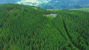 Güneşli bir yaz gününde, dağ yamacındaki kozalaklı bir ormanın üzerindeki büyük bir taş levhanın hava görüntüleri..