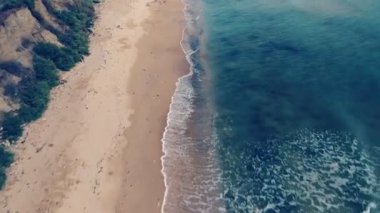 Uçan bir drondan okyanus kıyısındaki martıların hava görüntüsü