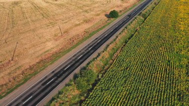 A car travels along a quiet rural road bordered by vibrant fields of sunflowers and dry grass, showcasing a peaceful countryside setting in the warm daylight.
