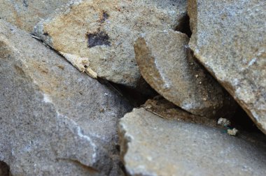 Büyük taş nesnelerle dolu Baackground