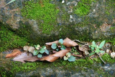 Büyük taş nesnelerle dolu Baackground