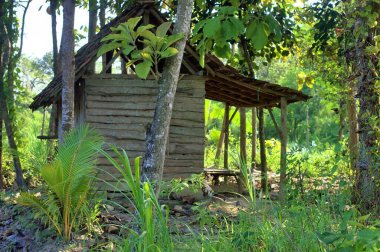 Pirinç tarlalarında ve tarlalarda geleneksel kulübe
