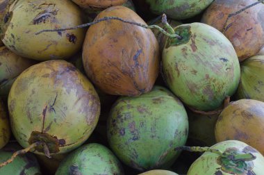 Genç hindistan cevizi meyveli arkaplan