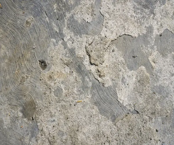Background with floor wall texture