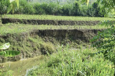 Ablasyon, nehrin etrafındaki toprağın aşınması.