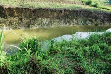 Ablasyon, nehrin etrafındaki toprağın aşınması.