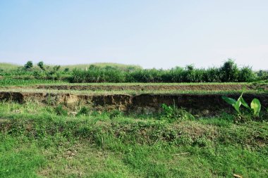 Ablasyon, nehrin etrafındaki toprağın aşınması.