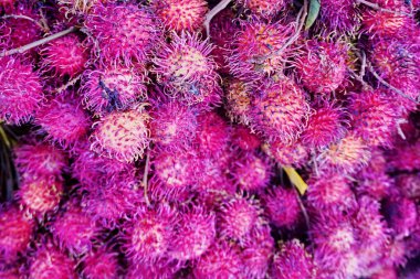 Rambutan Fruit: Güneydoğu Asya 'nın Egzotik Zevki