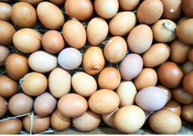 Tavuk yumurtası dokusuna sahip xrbackground