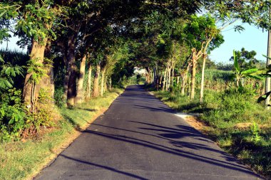 Bardak, bir tarafı kahve ya da çay içmek için kullanılan bir kap.