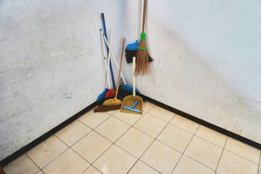 Keçiler geniş bir alanda ot yerler.