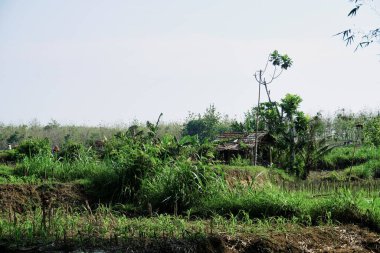 Ablasyon, nehrin etrafındaki toprağın aşınması.