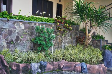 Güzel ve güzel bir çalılık.