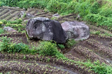 Natural background with rocky texture